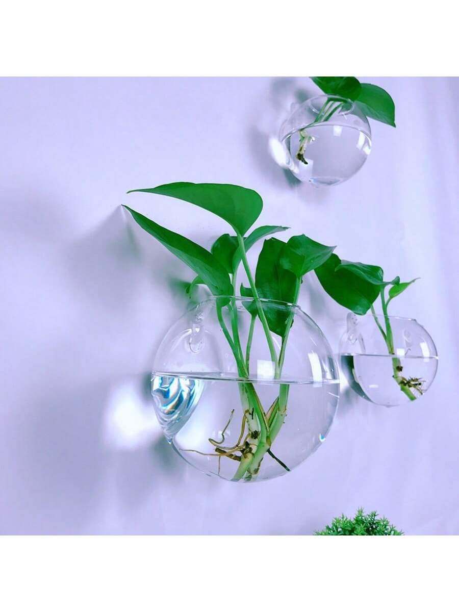 2/4/6 Pack Wall Hanging Glass  - đánh giá và giá Self-Watering Planter